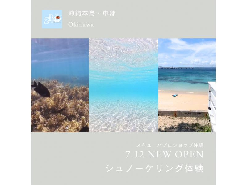 【沖縄本島・トンナハ】シュノーケリング（半日コース）3名様より￥3000割引適用☆レンタカー不要・送迎代込み！年齢制限なし！講習付きで安心の紹介画像