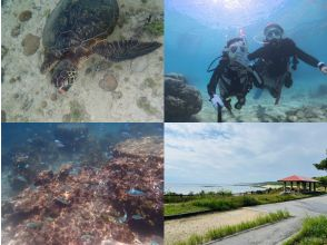 ＼那覇から送迎付きでお得に潜ろう☆／南部・ジョン万ビーチ　ビーチ体験ダイビング　ウミガメと泳げるかも？！