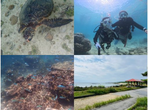 ＼那覇から送迎付きでお得に潜ろう☆／南部・ジョン万ビーチ　ビーチ体験ダイビング　ウミガメと泳げるかも？！の画像