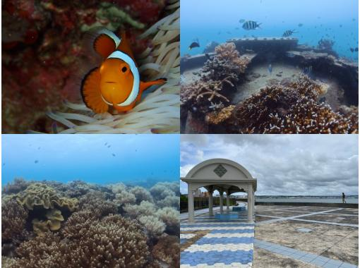 ＼那覇から送迎付きでお得に潜ろう☆／中部・砂辺　ビーチ体験ダイビング　沖縄の市街地で潜る！の画像