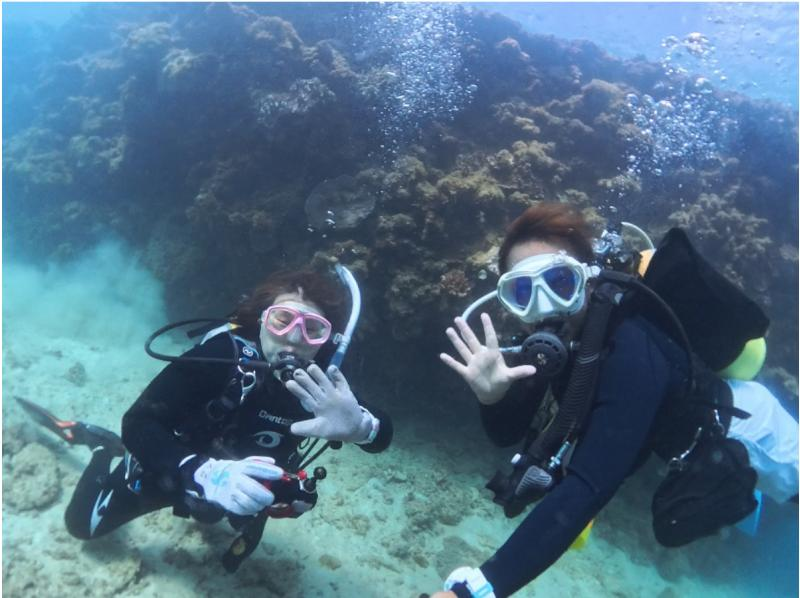 \那覇から送迎付きでお得に潜ろう☆/北部・ゴリラチョップ ビーチ体験ダイビングの紹介画像