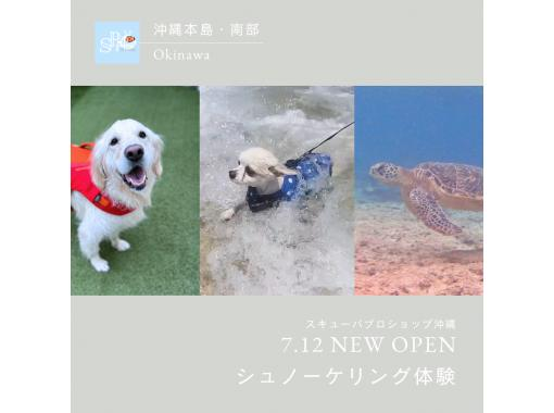 【沖縄本島・ジョン万】犬無料！ペットとシュノーケリング（半日コース）2名様より￥3000割引適用☆犬種不問！手ぶらで遊べる！の画像