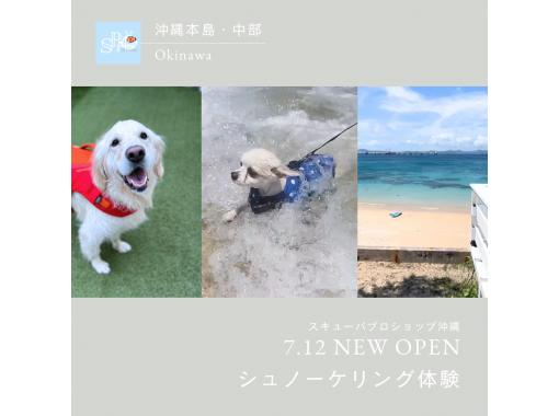 【沖縄本島・トンナハ】犬無料！ペットとシュノーケリング（半日コース）2名様より￥3000割引適用☆犬種不問！手ぶらで遊べる！の画像