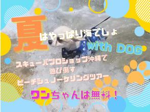 【沖縄本島北部・ゴリラチョップ】ペット同伴できるシュノーケリングで沖縄の海を楽しもう！珊瑚×水底のキラキラがエモ空間☆