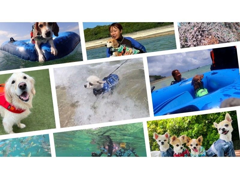 【北海道・SUP体験】透明度の高い支笏湖の湖面をクルージング！SUP体験（半日コース）の画像