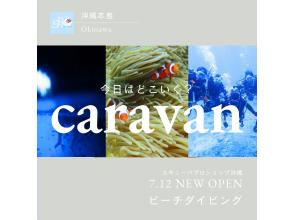 【沖縄本島・どこでも選べるビーチ】初心者大歓迎！ビーチダイビング☆レンタカー不要・送迎代込み！年齢制限なし！プチ観光で沖縄を満喫！