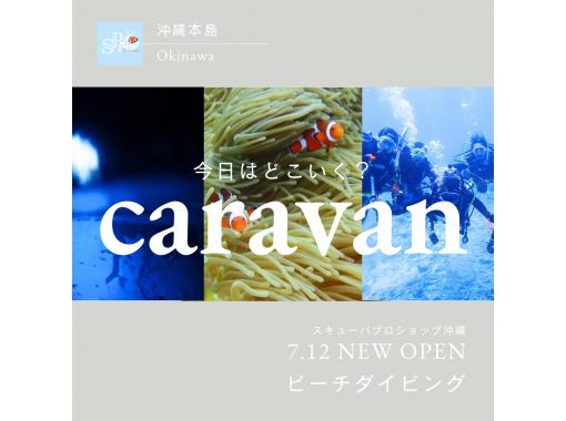 【沖縄本島・どこでも選べるビーチ】初心者大歓迎！ビーチダイビング☆レンタカー不要・送迎代込み！年齢制限なし！プチ観光で沖縄を満喫！の画像
