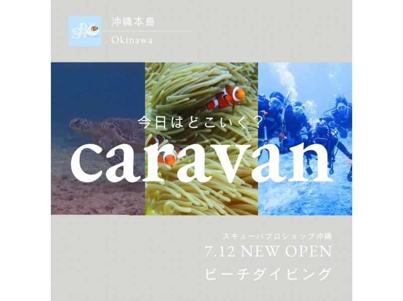 【沖縄本島・近場で選べるビーチ（北谷以南）】初心者大歓迎！ビーチダイビング☆レンタカー不要・送迎代込み！年齢制限なし！プチ観光で沖縄を満喫！の紹介画像
