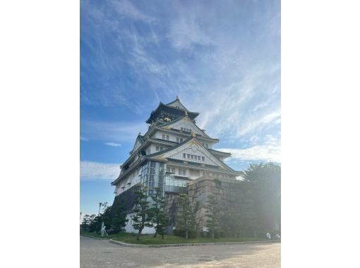[Osaka Castle] Completely private sightseeing tour <2-hour course>の画像