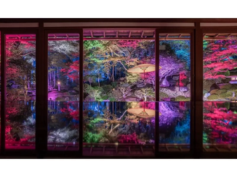 【滋賀・大津】びわ湖大津〈夕涼みライトアップバスツアー〉の紹介画像