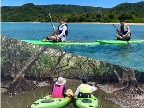 奄美大島【当日予約可能】SUP＆マングローブカヌー（120分）【お得なセットプラン】☆ドローン空撮等写真の無料プレゼントあり☆