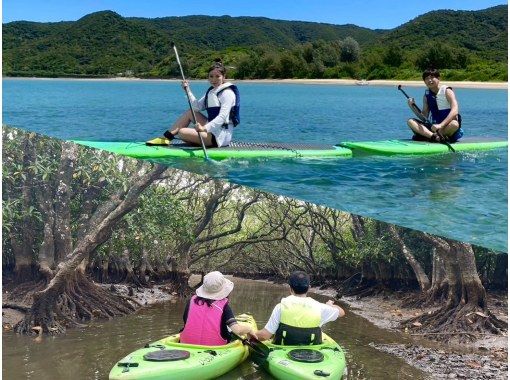 奄美大島【当日予約可能】SUP＆マングローブカヌー（120分）【お得なセットプラン】☆ドローン空撮等写真の無料プレゼントあり☆の画像