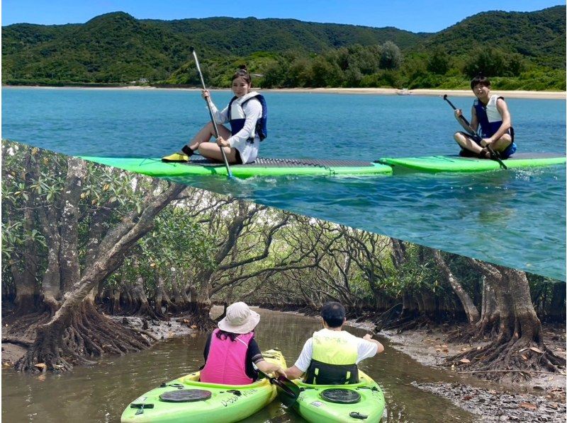 【北海道・SUP体験】透明度の高い支笏湖の湖面をクルージング！SUP体験（半日コース）の画像