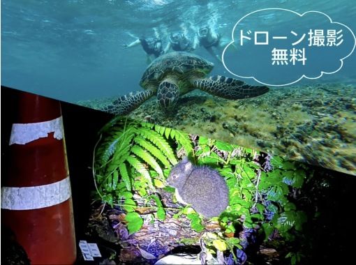 奄美大島【当日予約可能】シュノーケル＋ナイトツアー(180分)【お得なセットプラン】★口コミ投稿でGoProドローン撮影データプレゼント★の画像