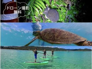 奄美大島【当日予約可能】SUP+シュノーケル+ナイトツアー（240分）【お得なセットプラン】★ドローン空撮等写真のプレゼントあり★