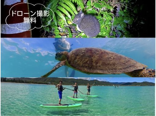 奄美大島【当日予約可能】SUP+シュノーケル+ナイトツアー（240分）【お得なセットプラン】★ドローン空撮等写真のプレゼントあり★の画像