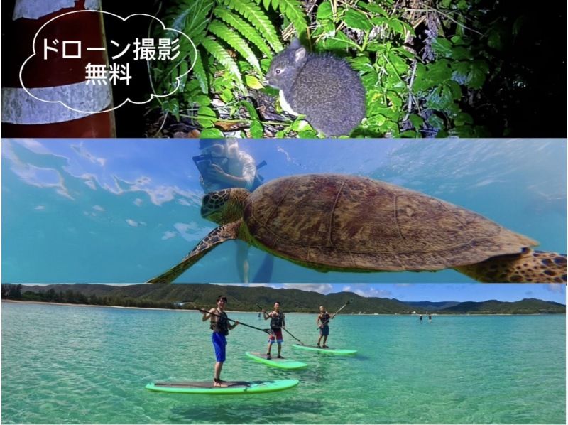 【北海道・SUP体験】透明度の高い支笏湖の湖面をクルージング！SUP体験（半日コース）の画像