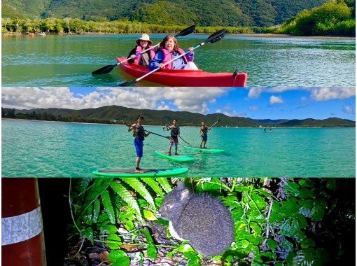 奄美大島【当日予約可能】SUP+シュノーケル+ナイトツアー（240分）【お得なセットプラン】★ドローン空撮等写真のプレゼントあり★の画像
