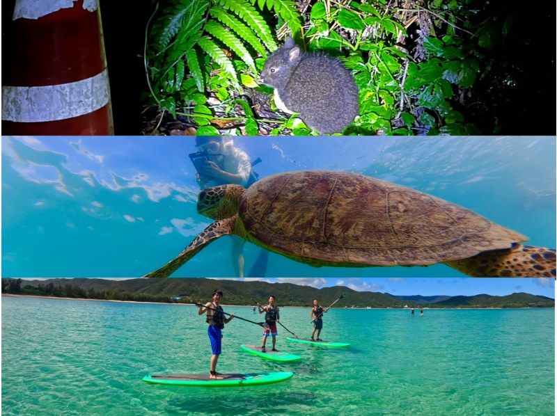 奄美大島【当日予約可能】SUP+シュノーケル+ナイトツアー（240分）【お得なセットプラン】★ドローン空撮等写真のプレゼントあり★の紹介画像