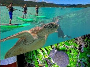 奄美大島【当日予約可能】SUP+シュノーケル+ナイトツアー（240分）【お得なセットプラン】★ドローン空撮等写真のプレゼントあり★