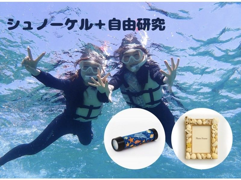 [富山縣射水市]推薦獨立研究！富山海域浮潛與製程體驗の紹介画像