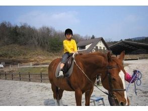 【広島県/広島・呉】初めての方も楽しめる！ひき馬体験
