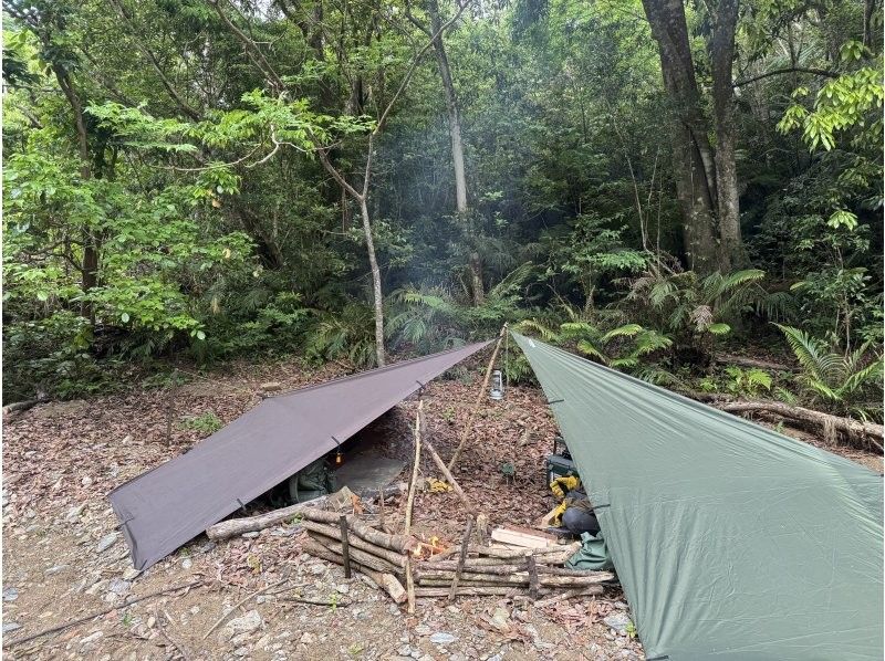 【冲绳山原】丛林生存入门：一日生存体验！能空手体验山原的隐秘之地，真正体验大自然的地方，只有夜晚！の紹介画像