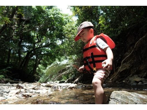 [Okinawa Yanbaru] Subtropical Nature River Trekking Let's explore the hidden areas of Yanbaru!の画像