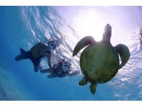 Early morning plan 《100% encounter rate continues》 [Sea turtle & clownfish snorkeling] No additional charge ★ Full refund guarantee ★ OK for ages 1 and up! Free rental and photos!