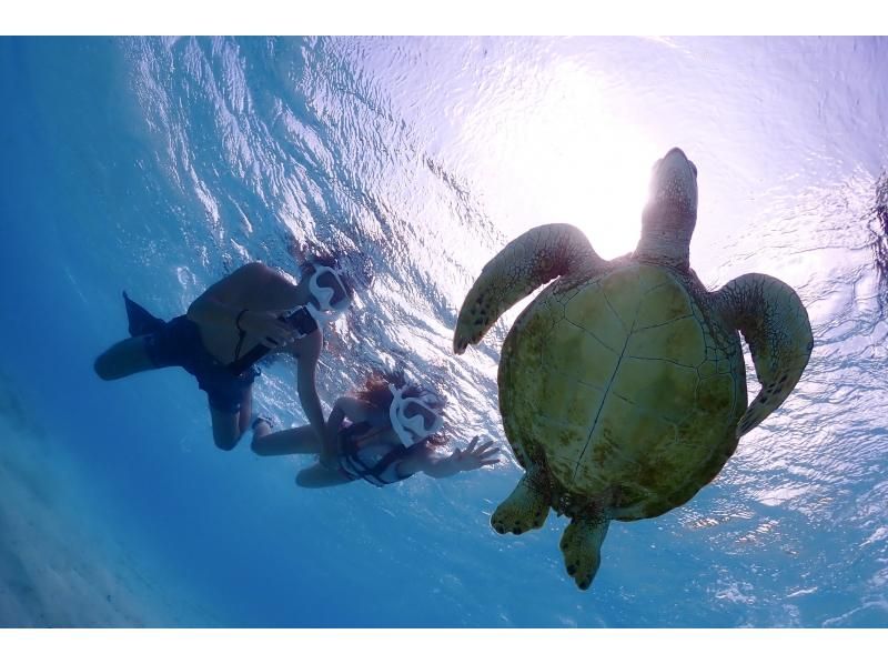Early morning plan 《100% encounter rate continues》 [Sea turtle & clownfish snorkeling] No additional charge ★ Full refund guarantee ★ OK for ages 1 and up! Free rental and photos!の紹介画像
