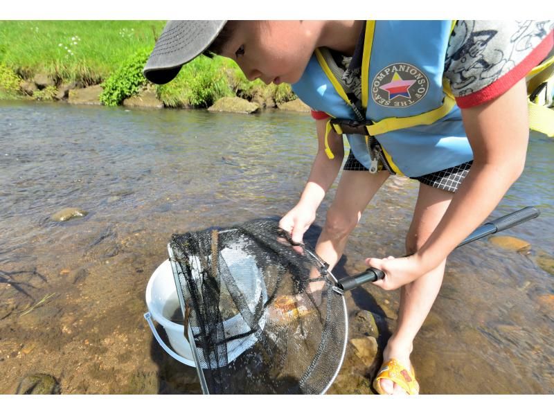 [Kitahiroshima City] Recommended for families: Experience rustling in the Watatsu River near F Villageの紹介画像