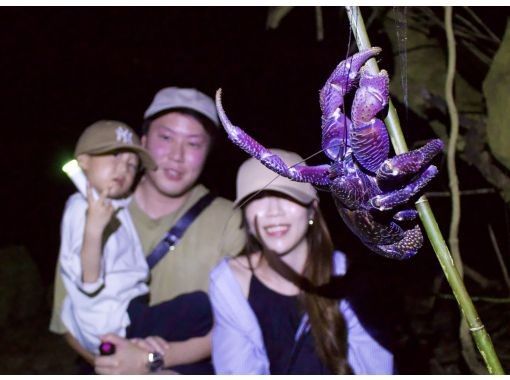 [Okinawa, Miyakojima] Exciting! Jungle night tour ☆ Guided tour for peace of mind! Popular with families and couples ☆ Enjoy the starry sky with a stargazing guide <Same-day reservations OK>の画像