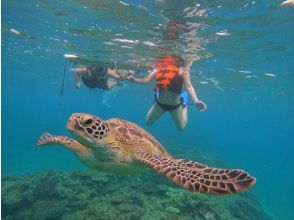 Same-day reservations OK1 Okinawa Onna Village Sea Turtle Snorkeling Tour Free GoPro Photography Brother Lau's Shop