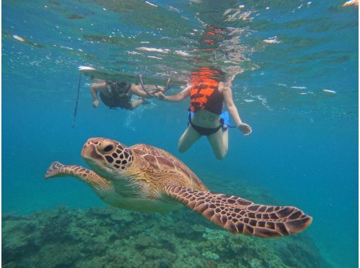 Same-day reservations OK1 Okinawa Onna Village Sea Turtle Search Snorkel Tour 100 minutes! Also held in November GoPro photography free Brother Lau's shopの画像