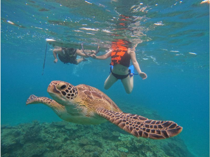 Same-day reservations OK1 Okinawa Onna Village Sea Turtle Search Snorkel Tour 100 minutes! Also held in November GoPro photography free Brother Lau's shopの紹介画像