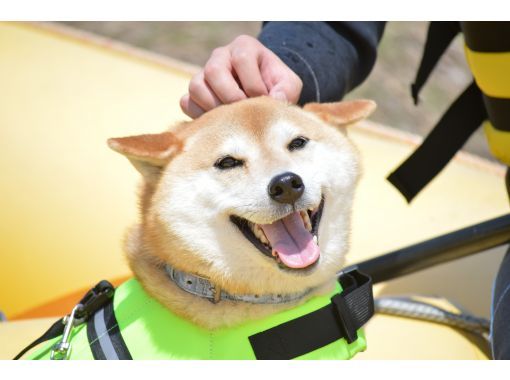 【群馬・みなかみ】【わんちゃんラフティング！】ペットと一緒に大冒険！！〈送迎無料〉の画像