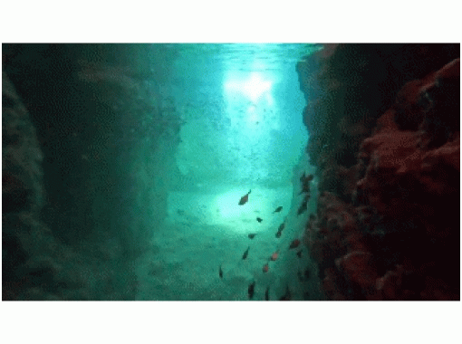 [Onna Village, Okinawa] Head to the most popular "Blue Cave" in Okinawa! Enjoy a casual snorkeling adventure! Boat entry so you can enjoy it while traveling ♪の画像