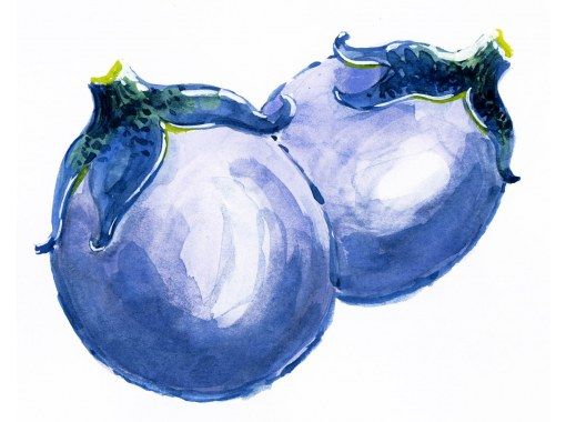 【山形・川西町】薄皮丸茄子収穫と漬物つくり体験の画像