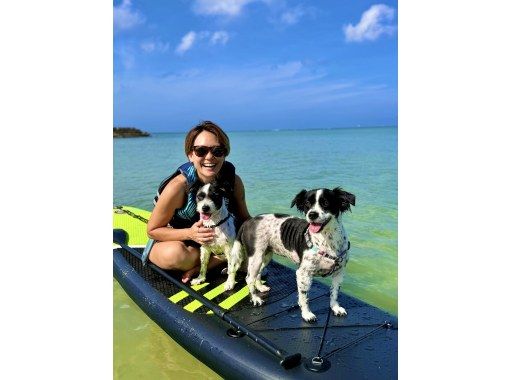 [Okinawa, Miyakojima] Enjoy at your own pace! SUP experience / Private SUP for 1 groupの画像