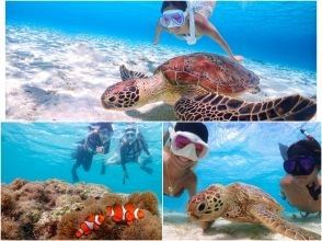 《宮古島｜送迎可能》ライフジャケット不要！ウミガメに大接近！初心者でも始められるスキンダイビング体験！当日予約・早期予約OK！