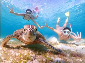 《宮古島｜送迎可能》ライフジャケット不要！ウミガメに大接近！初心者でも始められるスキンダイビング体験！当日予約・早期予約OK！
