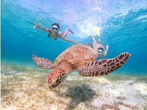 [Miyakojima] No life jacket required! Get up close and personal with sea turtles! Skin diving experience that even beginners can try! Same-day and early reservations accepted!