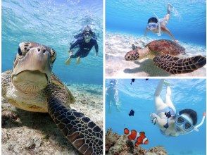 《宮古島｜送迎可能》ライフジャケット不要！ウミガメに大接近！初心者でも始められるスキンダイビング体験！当日予約・早期予約OK！