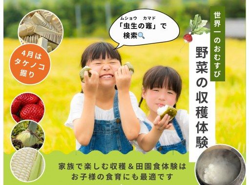 【千叶县九重栗】享用用传统日式炉灶烹制的&ldquo;世界最佳饭团&rdquo;自助餐，体验时令食材的收获！（景点）适合家庭的美食教育和乡村午餐之旅（4月至7月举办）の画像