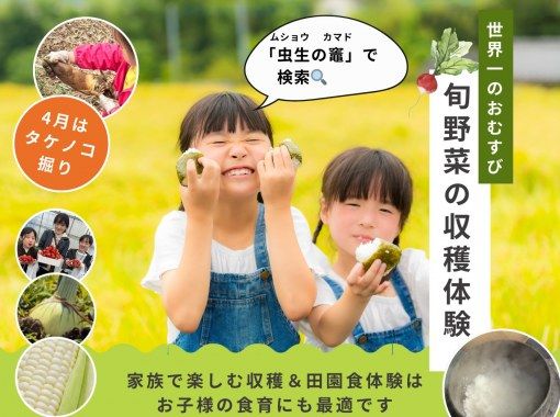 [คุจูคุริ, ชิบะ] เพลิดเพลินกับ "ข้าวปั้นที่ดีที่สุดในโลก" แบบทานไม่อั้น ที่ปรุงด้วยเตาญี่ปุ่นแบบดั้งเดิม และสัมผัสประสบการณ์การเก็บเกี่ยวตามฤดูกาล! (สถานที่) ทัวร์ศึกษาเรื่องอาหารและรับประทานอาหารกลางวันในชนบทที่เหมาะสำหรับครอบครัว (จัดขึ้นตั้งแต่เดือนเมษายนถึงกรกฎาคม)の画像