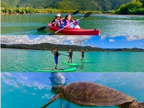 奄美大島【当日予約可能】SUP+シュノーケル+マングローブカヌー（180分）【お得なセットプラン】★ドローン空撮等写真のプレゼントあり★
