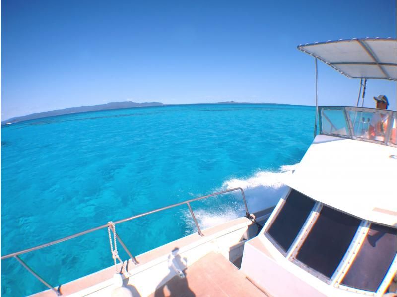 Winter special discount plan! [Okinawa, Ishigaki Island] Feel free to try diving for the first time! 1-day trial course! Limited number of participants! First come, first served! Copyの紹介画像