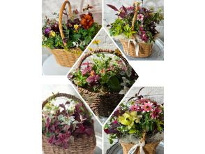 [Akita, Akita City] Gathering Planting Trial Lesson! Beginners, women, friends, couples, parents and children welcome! aoki_siki Gathering Planting