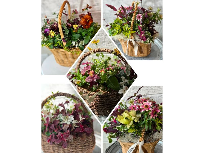 [Akita, Akita City] Gathering Planting Trial Lesson! Beginners, women, friends, couples, parents and children welcome! aoki_siki Gathering Plantingの紹介画像