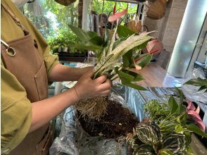 [Akita, Akita City] Gathering Plants Natural Style! Beginners, women, friends, couples, parents and children welcome! aoki_siki Gathering Plants